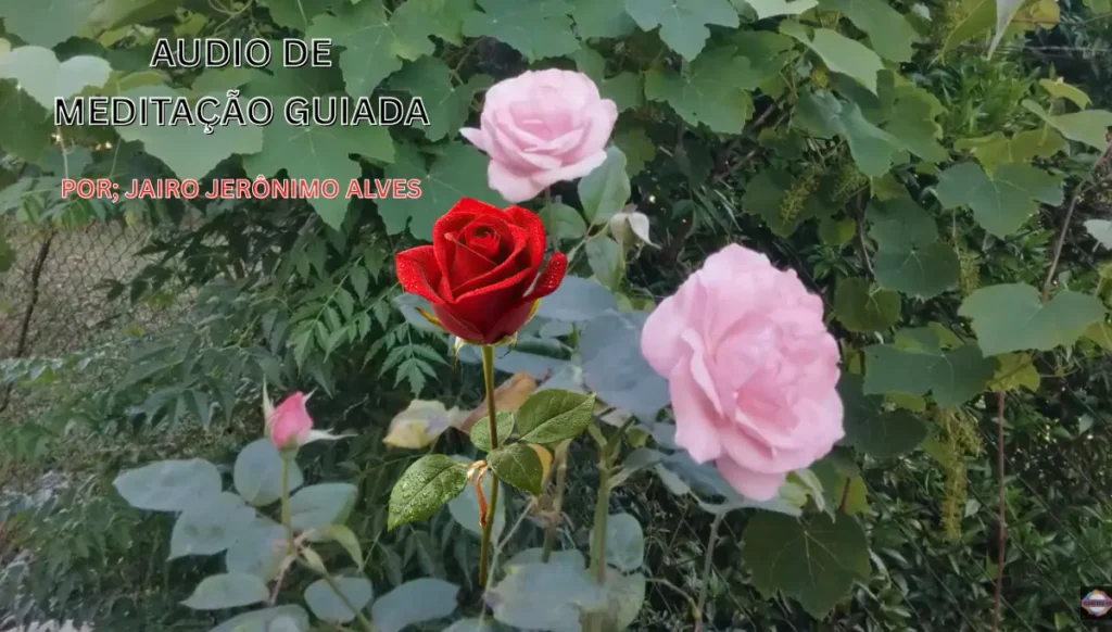 Meditação Guiada para Combater Medo, Ansiedade, Depressão e Pânico - Vídeo no YouTube