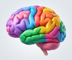 "Ilustração de cérebro colorido representando as 16 personalidades do teste MBTI e saúde mental."